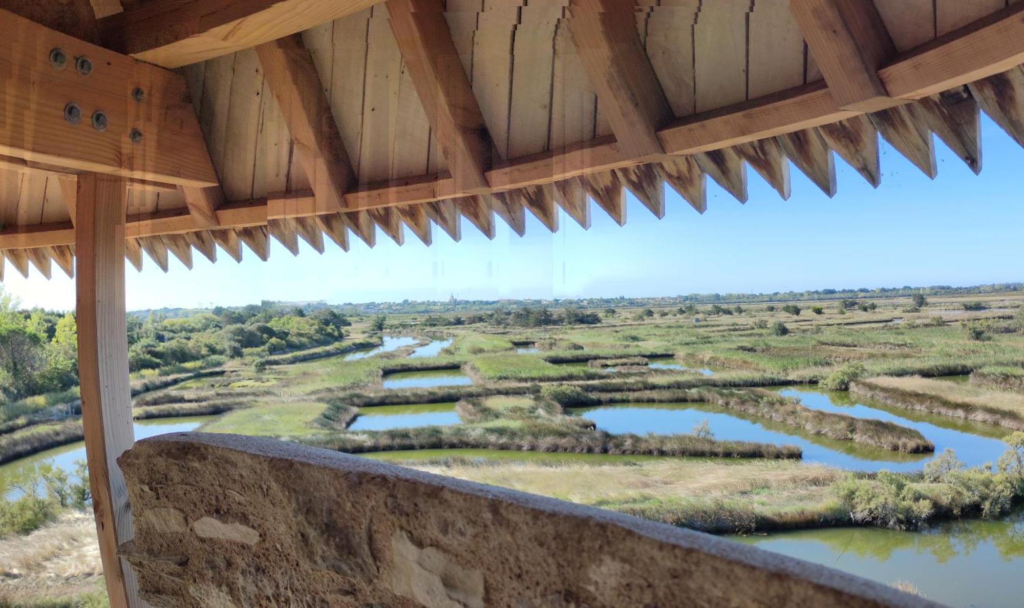 Apartamento Les Oliviers L'Ile-d'Olonne Exterior foto